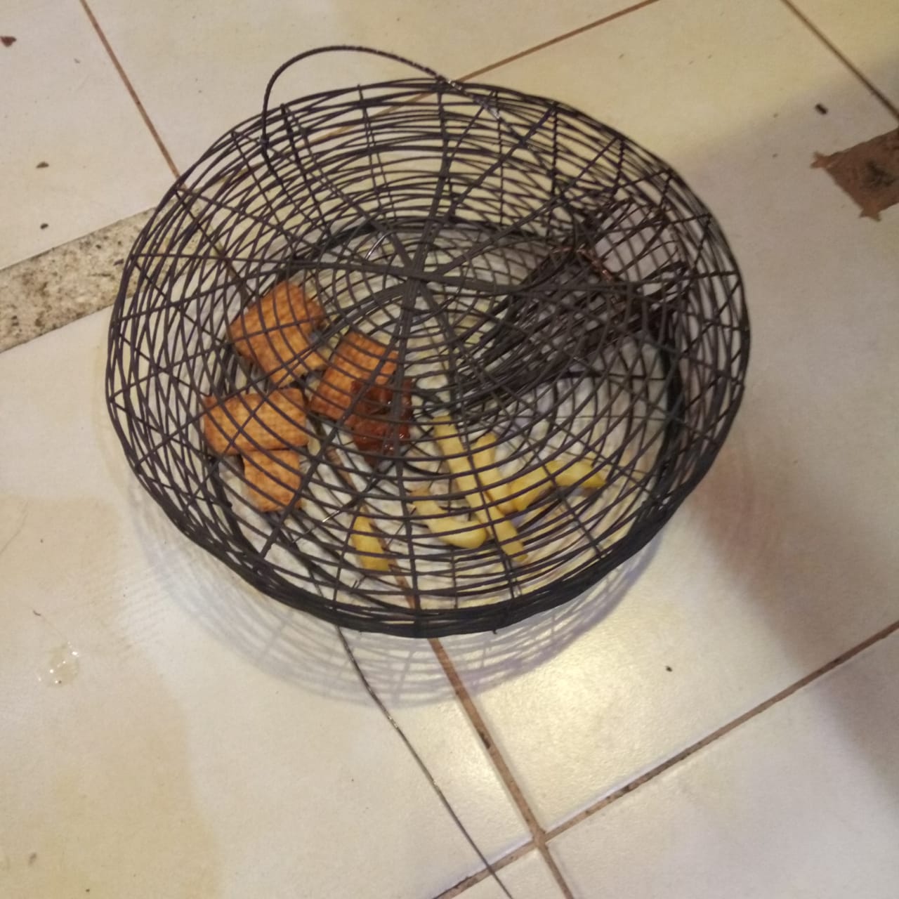 Buy #1 Mechanical Rodent Trap | Get Rid of Rats & Mice | 0737898884