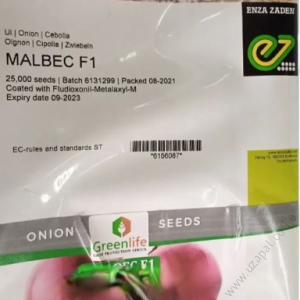 Malbec F1 25,000 Seeds (100gm)