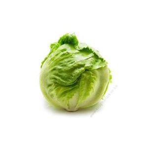 Lettuce Aviram 1000 Seeds Hybrid