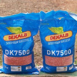 DK 7500 Hybrid Yellow Maize 5Kg