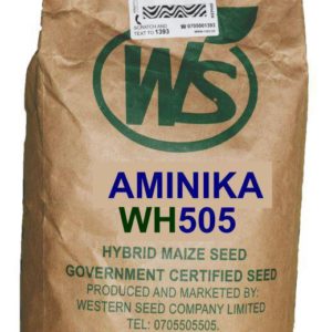 Aminika wh 505 Maize Seeds 2kg