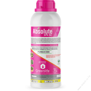 Absolute (1)