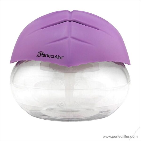 Air Revitalizer - Image 5