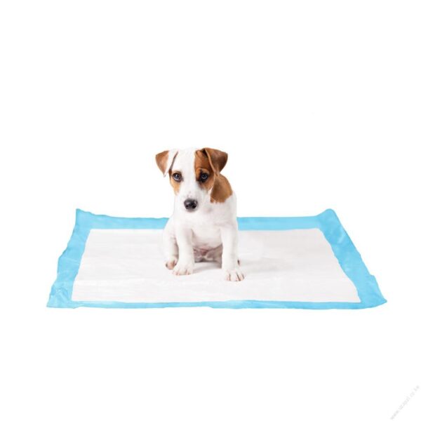 Dog training pads X-Large
