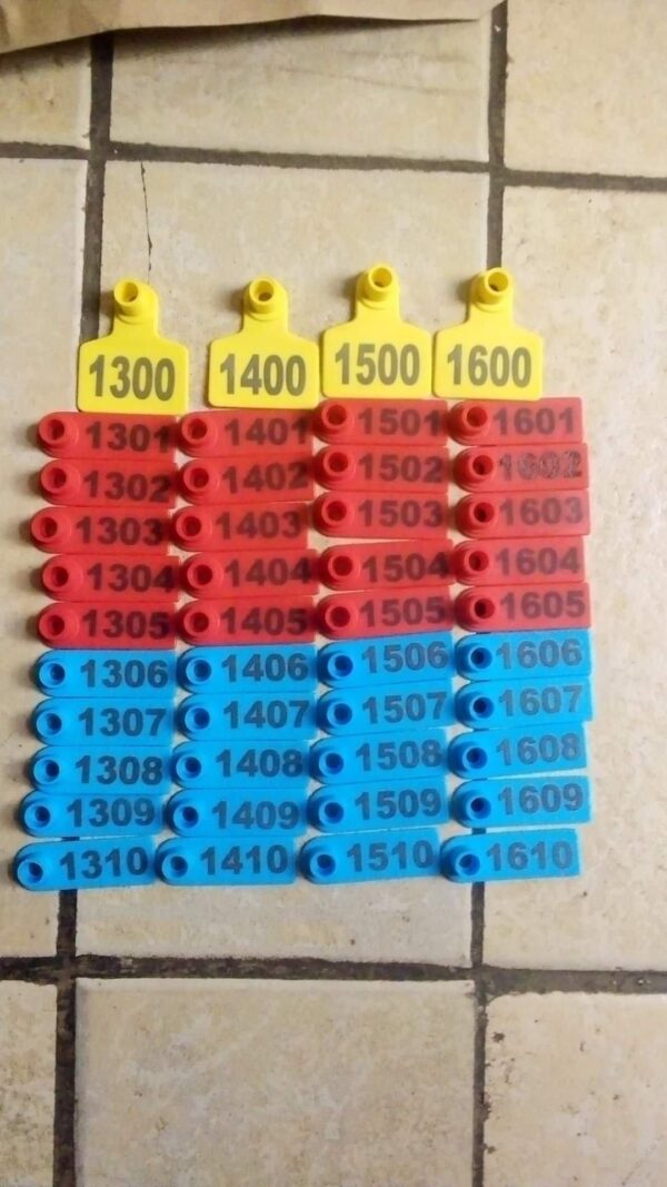 Ear Tag - Image 7