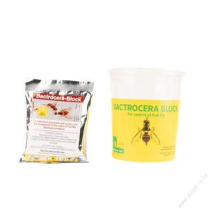 Bactrocera