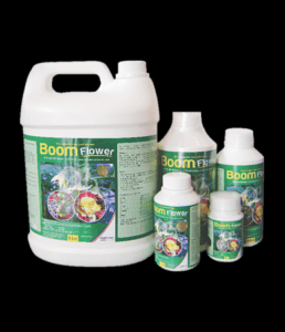 20 X Boom Flower(100ml)
