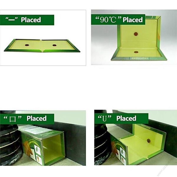 Rat & Mouse Glue Board