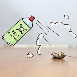 cockroach