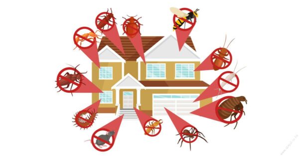 Pest control company