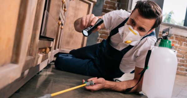 pest-control-services