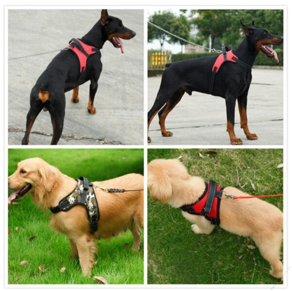 Saddle Dog Harness Medium