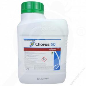 Chorus 50 WG