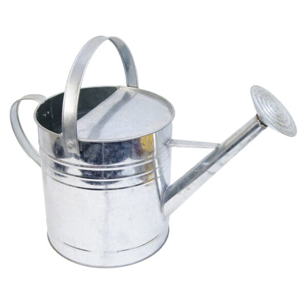 metallic watering can
